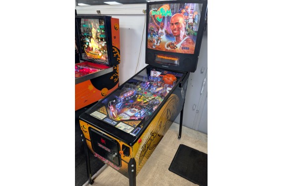 Flipper Sega Space Jam